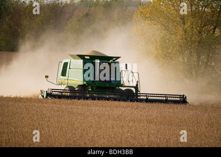 Landwirtschaft - ein John Deere kombinieren Ernte eine Ernte von gesunden Sojabohnen, im Herbst / in der Nähe von Northland, Minnesota, USA. Stockfoto