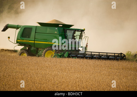 Landwirtschaft - ein John Deere kombinieren Ernte eine Ernte von gesunden Sojabohnen, im Herbst / in der Nähe von Northland, Minnesota, USA. Stockfoto
