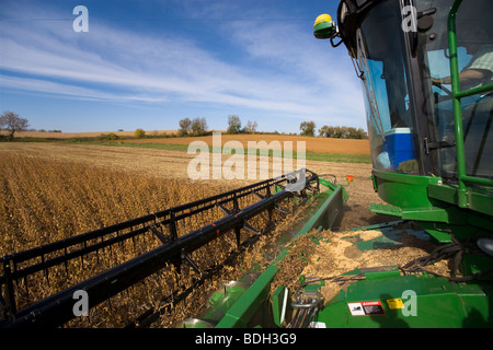 Landwirtschaft - Blick vom Deck eines John Deere kombinieren Ernte Sojabohnen im Herbst / in der Nähe von Northland, Minnesota, USA. Stockfoto