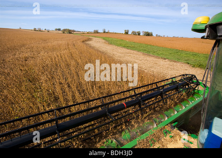 Landwirtschaft - Blick vom Deck eines John Deere kombinieren Ernte Sojabohnen im Herbst / in der Nähe von Northland, Minnesota, USA. Stockfoto