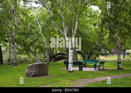 OTIS GROVE in CHARLES RIVER PARK - BOSTON, MASSACHUSETTS Stockfoto