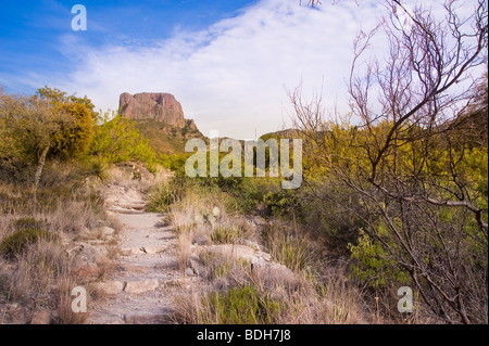 Die Fenster im Big Bend National Park im Südwesten Texas Trail Stockfoto