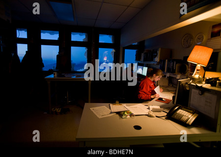 Forscher beobachten Computern innerhalb der Mt. Washington Sternwarte auf dem Gipfel des Mt. Washington-Wetter. Stockfoto