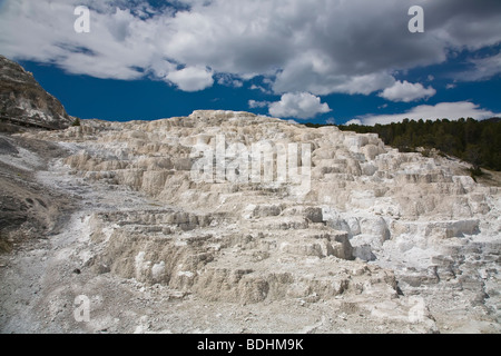 Travertin-Terrassen im unteren Terrassen Bereich in Mammoth Hot Springs im Yellowstone National Park in Wyoming USA Stockfoto