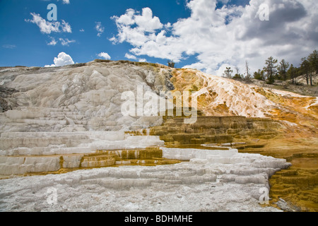 Travertin-Terrassen im unteren Terrassen Bereich in Mammoth Hot Springs im Yellowstone National Park in Wyoming USA Stockfoto