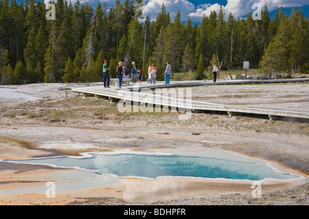 Upper Geyser Basin im Yellowstone National Park in Wyoming USA Stockfoto