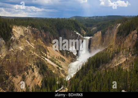 Amerikanische Gebläse fällt am Yellowstone River im Grand Canyon des Yellowstone im Yellowstone National Park in Wyoming USA Stockfoto
