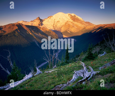 Sonnenaufgang auf dem Mount Rainier 14.411 ft (4, 392m) von Yakima Park, Mount Rainier Nationalpark Washington USA Stockfoto