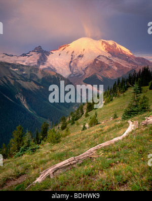 Sonnenaufgang auf dem Mount Rainier 14.411 ft (4, 392m) von Yakima Park, Mount Rainier Nationalpark Washington USA Stockfoto