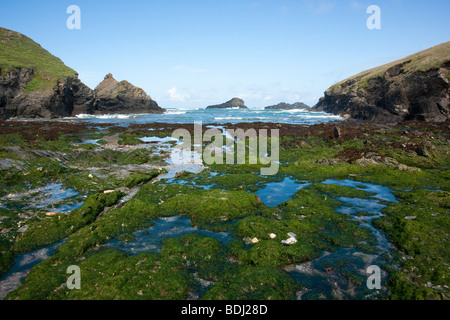 Strand bei Ebbe in Porth Mear, in der Nähe von Porth Cothan, Cornwall Stockfoto