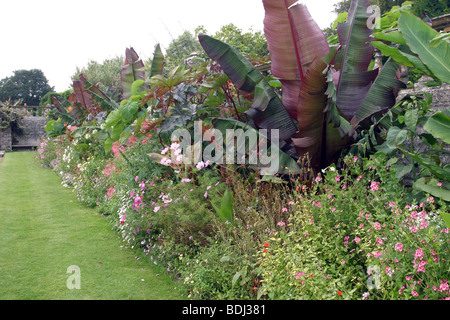 Die Gärten von Kingston Maurward House, Dorset Stockfoto