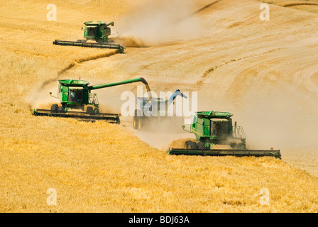 Drei John Deere kombiniert Ernte Gerste am Hang Gelände während einer geerntete Gerste in einer Korn-Warenkorb "on-the-Go" entlädt. Stockfoto