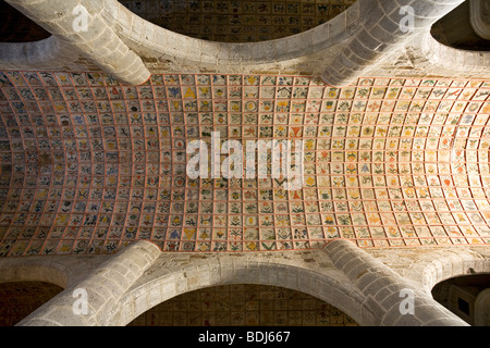 Das Gewölbe der Cheylade romanischen Kirche (Cantal - Auvergne - Frankreich). Voûte de l'Église Romane de Cheylade (Cantal - Frankreich) Stockfoto