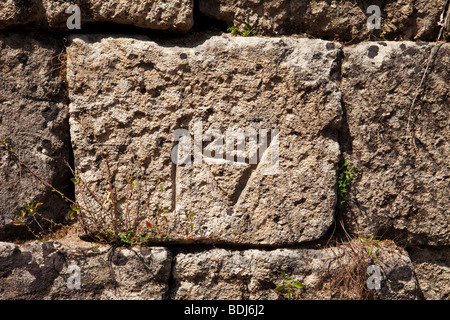 Leontinoi, griechischen Mauern - Sizilien Stockfoto