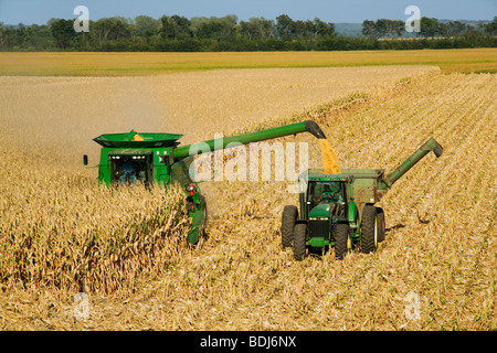 Landwirtschaft - ein John Deere kombinieren ernten Getreide Mais und entlädt auf einen Korn-Wagen "on-the-Go" / Tennessee, USA. Stockfoto