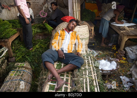 Blumenmarkt am Mullick Ghaat, Kolkata, Westindien Bengala. Stockfoto