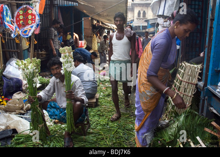 Blumenmarkt am Mullick Ghaat, Kolkata, Westindien Bengala. Stockfoto