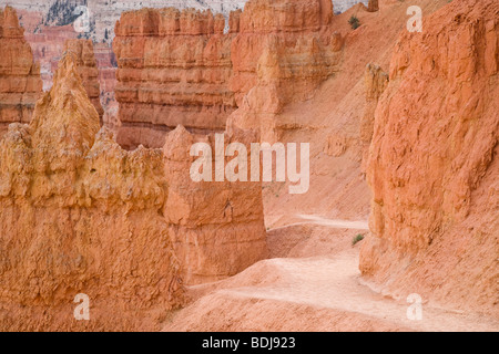 Navajo Loop Trail, Bryce-Canyon-Nationalpark, Utah Stockfoto