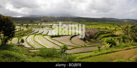 Indonesien, Bali, Tirta Gangga, Wahrzeichen Reihenhaus Reis Felder Panoramablick Stockfoto