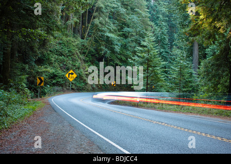 Highway 199 durch den Jedediah Smith State Park, Northern California, Kalifornien, USA Stockfoto