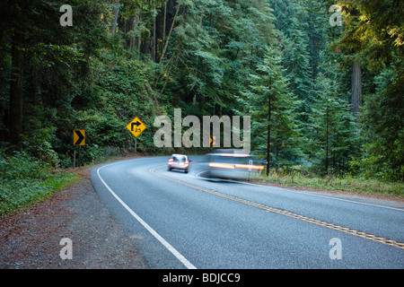 Highway 199 durch den Jedediah Smith State Park, Northern California, Kalifornien, USA Stockfoto