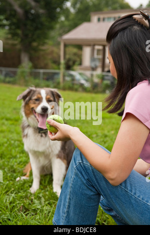 Frau spielt fangen mit Hund Stockfoto