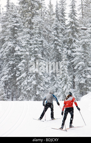 Rückansicht des Paares Cross Country Ski, Whistler, British Columbia, Kanada Stockfoto