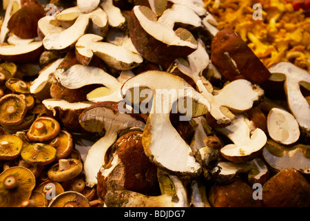 Pilze an Bauern Markt, Spanien Stockfoto