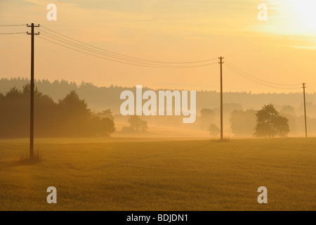 Sonnenaufgang über dem Feld, Hessen, Odenwald, Deutschland Stockfoto