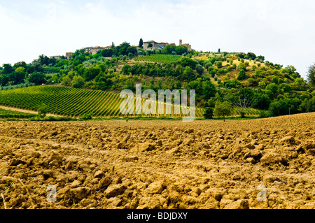 Castelnuovo dell'Abate, Provinz Siena, Toskana, Italien Stockfoto