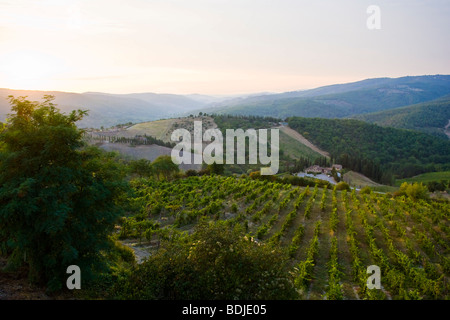 Radda in Chianti, Provinz Siena, Toskana, Italien Stockfoto