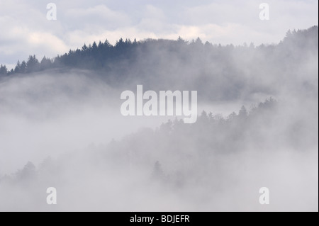 Hügel mit Wald stehend aus Nebel, Schwarzwald, Baden-Württemberg, Deutschland Stockfoto