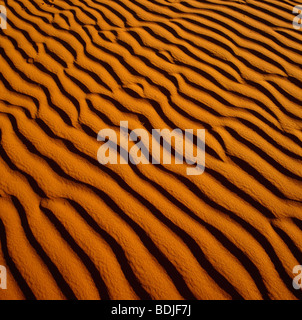 Wellen im Wüstensand, Wüste Stockfoto