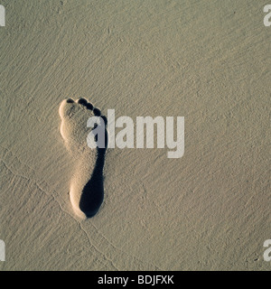 Fußdruck in Strandsand Stockfoto