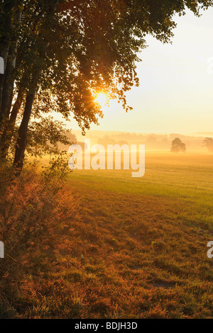 Sonnenaufgang über dem Feld im Herbst, Odenwald, Hessen, Deutschland Stockfoto