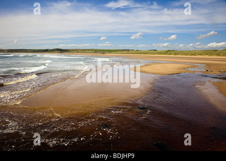 Die Bucht von Cruden, Nordost-Aberdeenshire, Schottland, UK Stockfoto