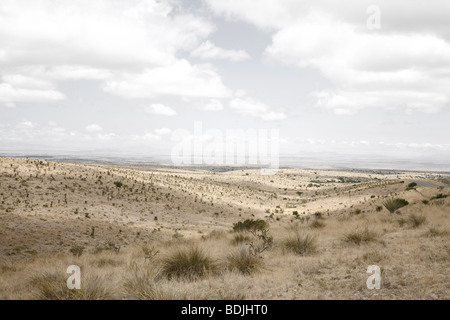 Marfa, Presidio County, West Texas, Texas, USA Stockfoto