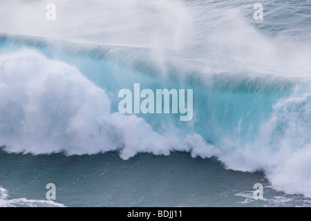 Wellen, Na Pali Coast, Kauai, Hawaii, USA Stockfoto