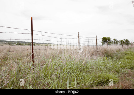 Zaun in Wiese Stockfoto