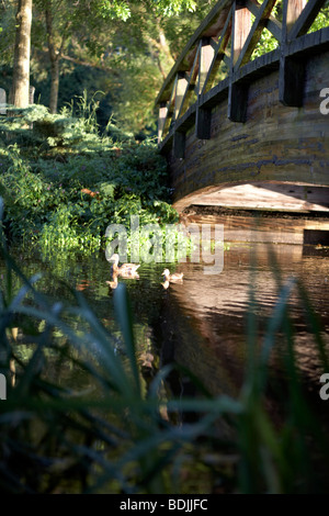 Holzbrücke in Jericho Park, Vancouver, Britisch-Kolumbien, Kanada Stockfoto