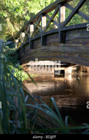 Holzbrücke in Jericho Park, Vancouver, Britisch-Kolumbien, Kanada Stockfoto