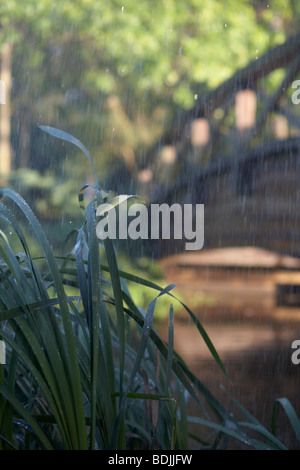 Regen in Jericho Park, Vancouver, Britisch-Kolumbien, Kanada Stockfoto