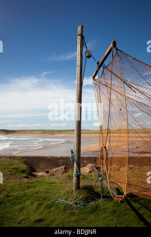 Schottische Meeresfischerei. Küstenlandschaft und Trocknung Lachsfischnetze hängen an Stangen in Cruden Bay, Aberdeenshire, Nordostschottland, Großbritannien. Stockfoto