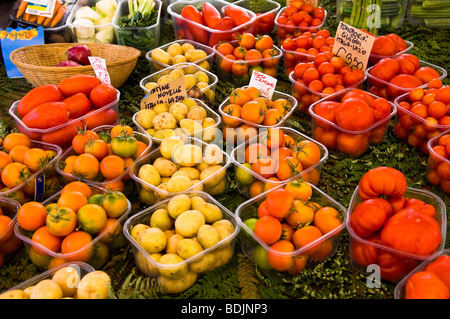 Farmers Market, Campo dei Fiori, Rom, Latium, Italien Stockfoto