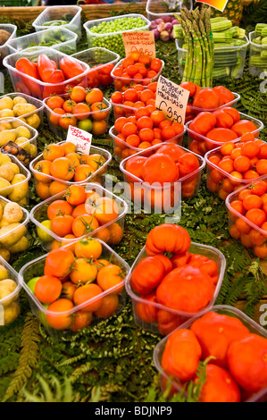 Farmers Market, Campo dei Fiori, Rom, Latium, Italien Stockfoto