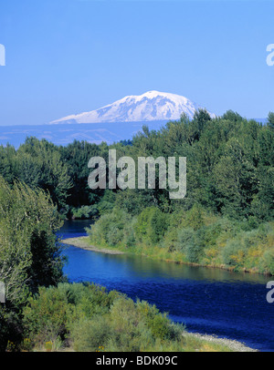 Mount Rainier (14.411 Fuß), der höchste Punkt in Washington, über die Yakima River in der Nähe von Yakima angesehen. Washington, USA. Stockfoto