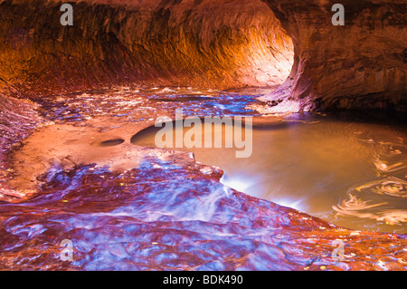 Die U-Bahn entlang des North Creek, Zion Nationalpark, Utah Stockfoto