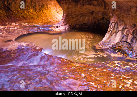 Die U-Bahn entlang des North Creek, Zion Nationalpark, Utah Stockfoto