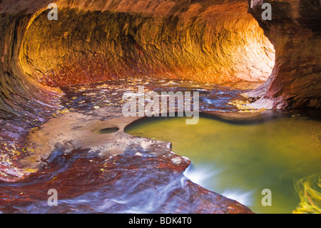 Die U-Bahn entlang des North Creek, Zion Nationalpark, Utah Stockfoto