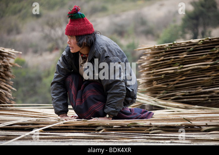 Frau mit Bambusrohr arbeiten zu machen und das Dach der Hütte zu bauen. Bhutan-Asien-92057 Bhutan Stockfoto